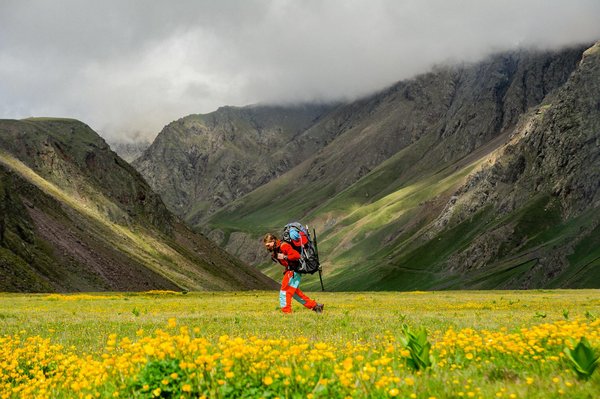 Top deals for morning desert safari in dubai: costs and thrills